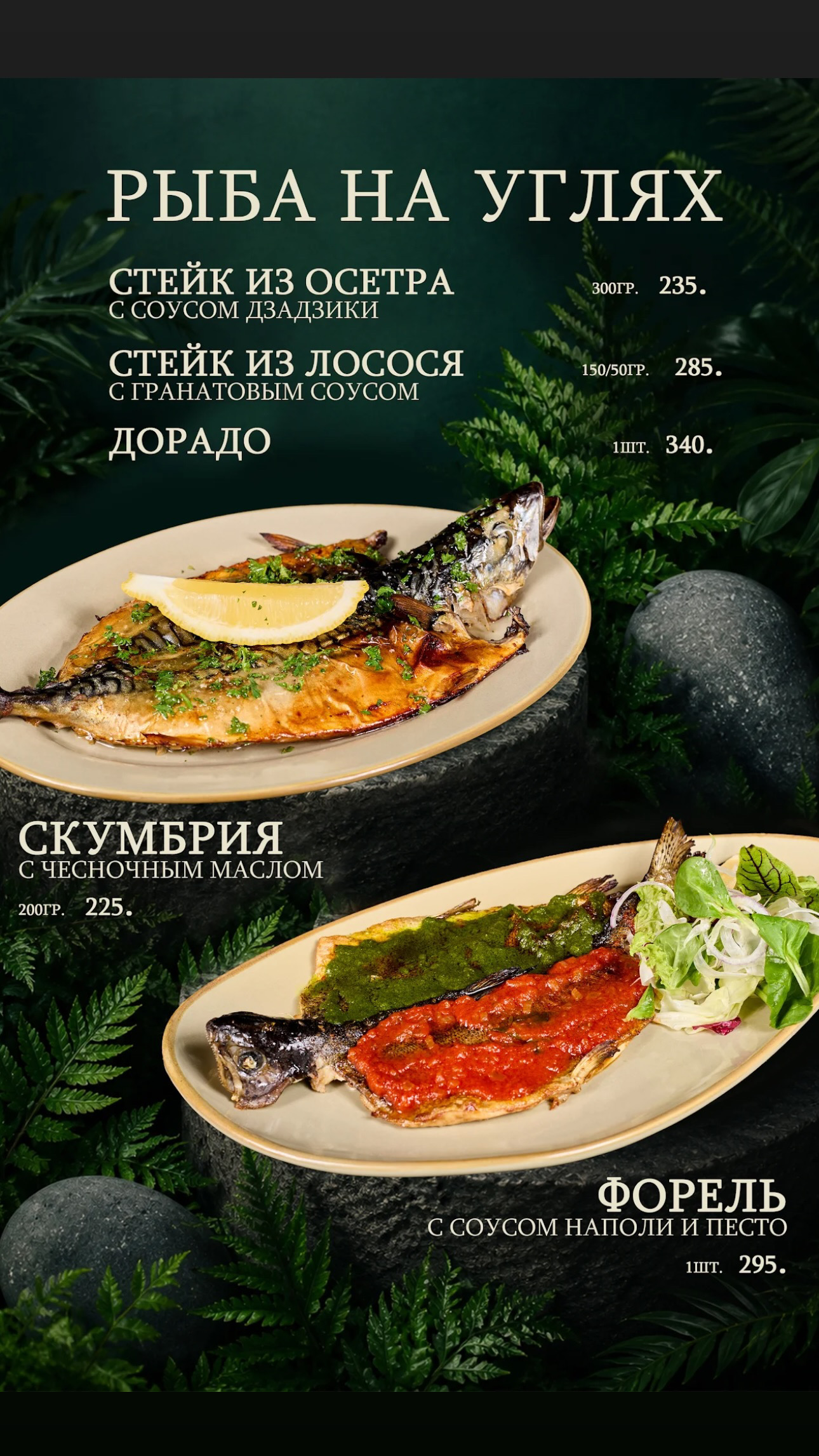 Страница 24